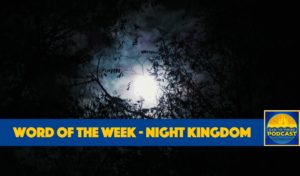 Ear To There Travel, Ear To There Podcast, Ear To There Disney Podcast, Phil Gramlich, Phil from Ear To There Travel, Disney World, Disney, Word of the Week Night Kingdom, Disney's Night Kingdom