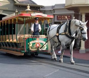 Disney, Main Street, USA, Walt Disney World, Horse