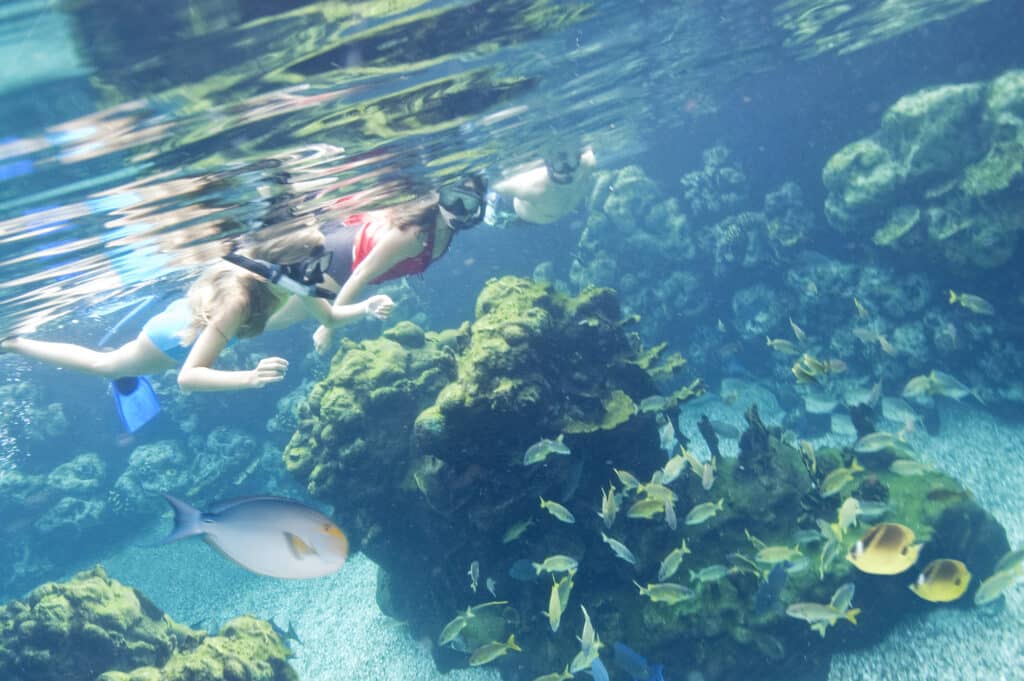 Fun under the sea and adventuring on land with spring discounts at Disney Aulani for eligible military members in 2023